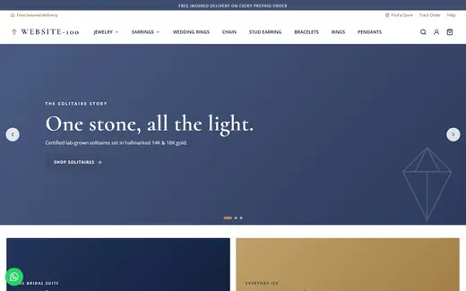 Website-100 storefront homepage