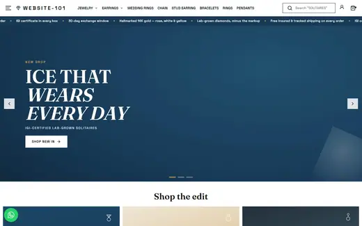 Website-101 storefront homepage