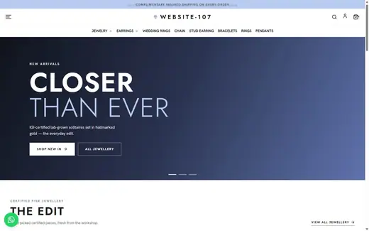 Website-107 storefront homepage
