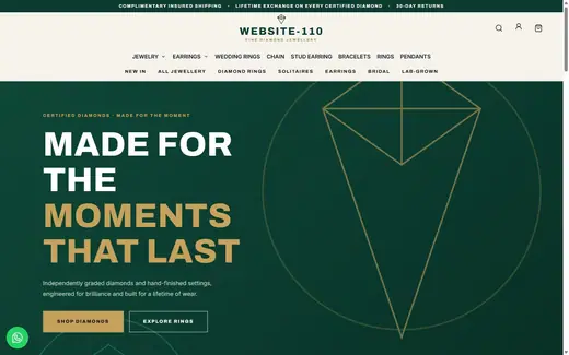 Website-110 storefront homepage