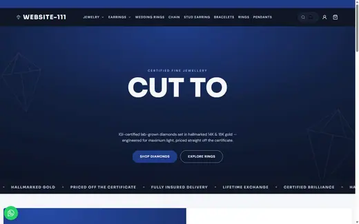 Website-111 storefront homepage