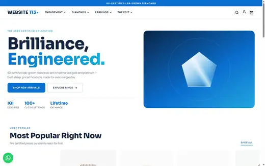 Website-113 storefront homepage
