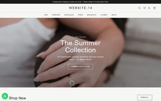 Website-14 storefront homepage
