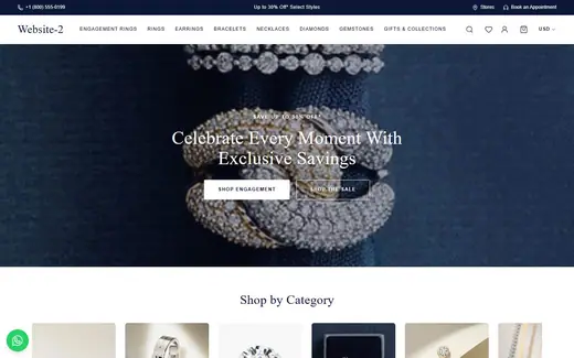 Website-2 storefront homepage